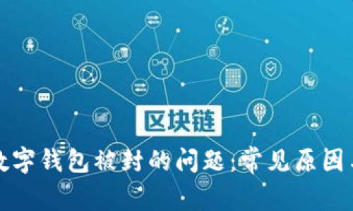 如何解决数字钱包被封的问题：常见原因与解决方案