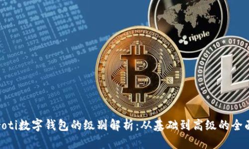 biasroti数字钱包的级别解析：从基础到高级的全面指南