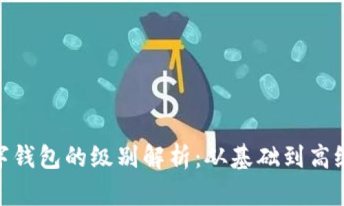 biasroti数字钱包的级别解析：从基础到高级的全面指南