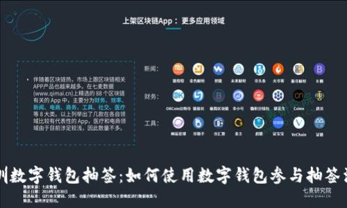 深圳数字钱包抽签：如何使用数字钱包参与抽签活动