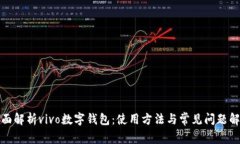 全面解析vivo数字钱包：使