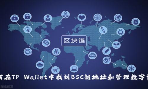 如何在TP Wallet中找到BSC链地址和管理数字资产