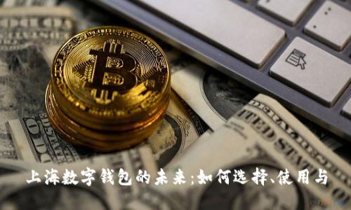 上海数字钱包的未来：如何选择、使用与