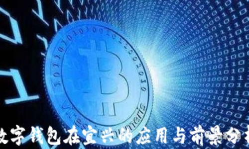 
数字钱包在宜兴的应用与前景分析