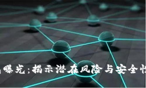  数字钱包曝光：揭示潜在风险与安全性的重要性