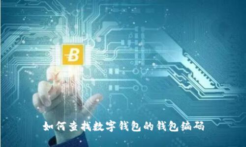 如何查找数字钱包的钱包编码