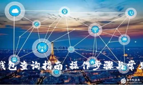 企业数字钱包查询指南：操作步骤与常见问题解答