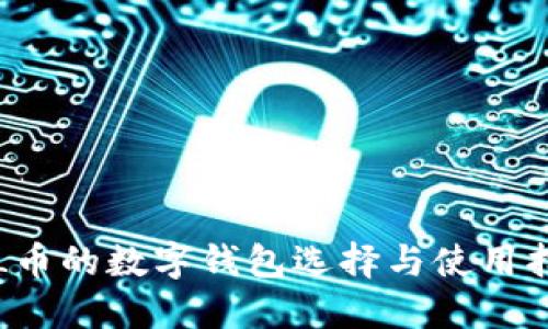 FIL币的数字钱包选择与使用指南