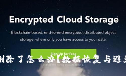 tpwallet不小心删除了怎么办？数据恢复与避免丢失的有效方法