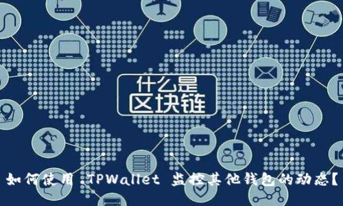 如何使用 TPWallet 监控其他钱包的动态？