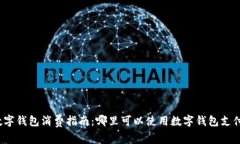 数字钱包消费指南：哪里