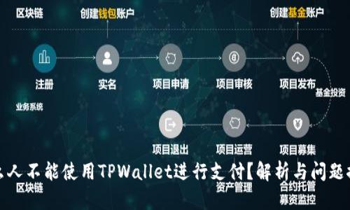 什么人不能使用TPWallet进行支付？解析与问题探讨