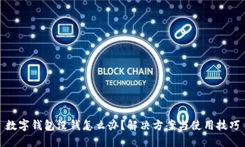 数字钱包没钱怎么办？解决方案与使用技巧