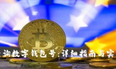 如何查询数字钱包号：详