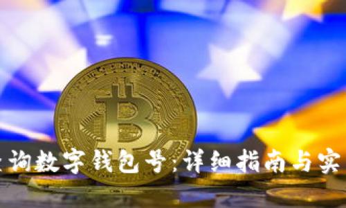 如何查询数字钱包号：详细指南与实用技巧
