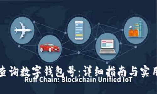 如何查询数字钱包号：详细指南与实用技巧