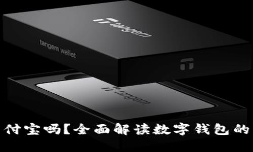 数字钱包支持支付宝吗？全面解读数字钱包的支付方式与优势