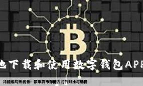 如何安全地下载和使用数字钱包APP：全面指南