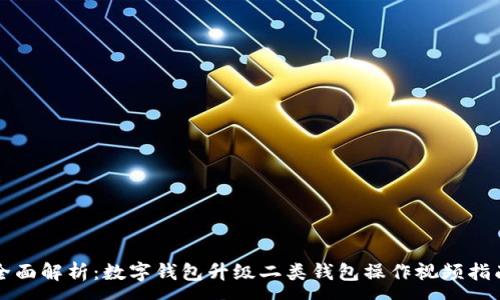 :
全面解析：数字钱包升级二类钱包操作视频指南