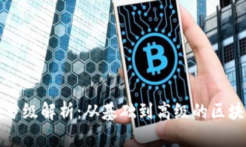 数字钱包的分级解析：从基础到高级的区块链钱包分类