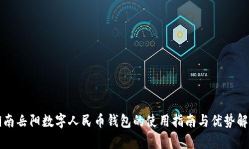 湖南岳阳数字人民币钱包的使用指南与优势解析
