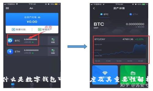 什么是数字钱包可用款额度及其重要性解析