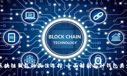 区块链钱包的最佳选择：全面解析各种钱包类型