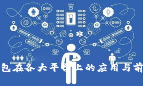 数字钱包在各大平台上的应用与前景分析