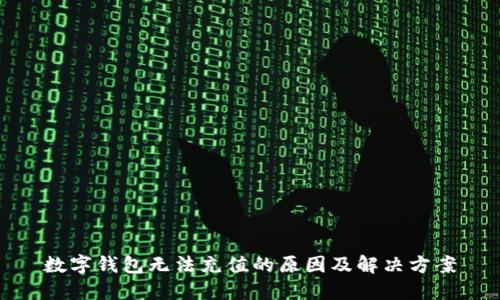 数字钱包无法充值的原因及解决方案
