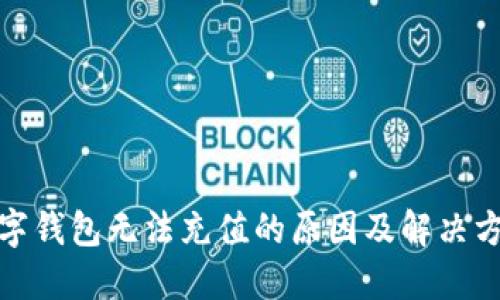 数字钱包无法充值的原因及解决方案