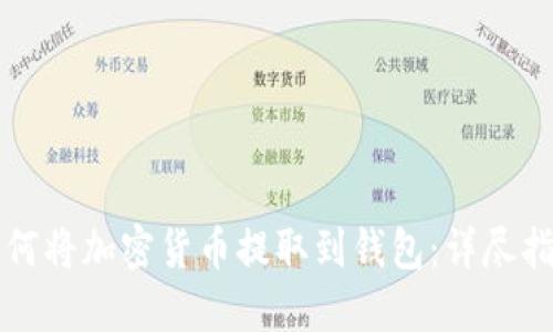 如何将加密货币提取到钱包：详尽指南