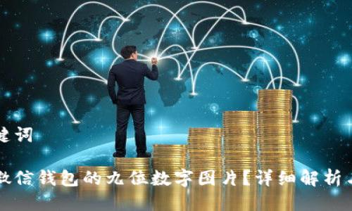 思考与关键词

怎样使用微信钱包的九位数字图片？详细解析与实用指南