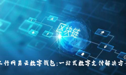 工行网易云数字钱包：一站式数字支付解决方案