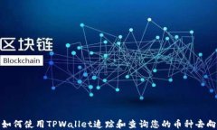 如何使用TPWallet追踪和查询