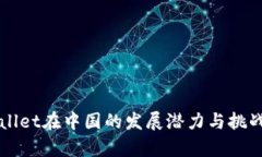 TPWallet在中国的发展潜力与