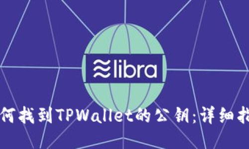 如何找到TPWallet的公钥：详细指南