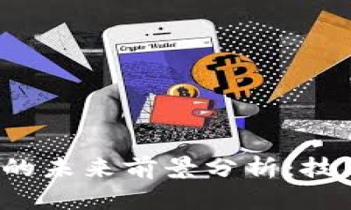 超级数字钱包的未来前景分析：技术、应用与挑战