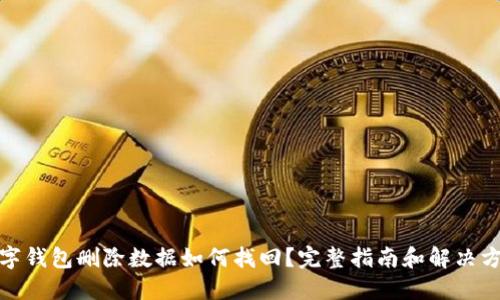 数字钱包删除数据如何找回？完整指南和解决方案