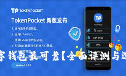 哪个数字钱包最可靠？全面评测与选择指南