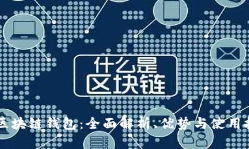 DP区块链钱包：全面解析、优势与使用技巧