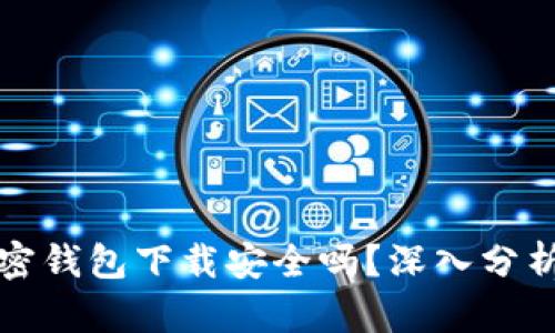 现金应用加密钱包下载安全吗？深入分析与用户指南