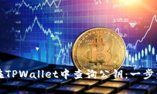如何在TPWallet中查询公钥：一步步指南