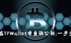 如何在TPWallet中查询公钥：