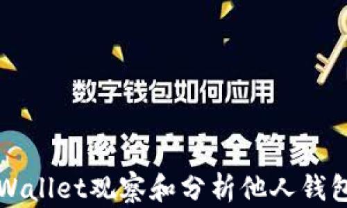 
如何通过TPWallet观察和分析他人钱包的详细指南