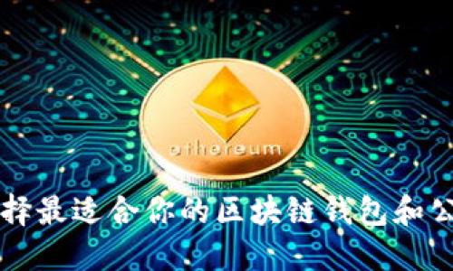 如何选择最适合你的区块链钱包和公链平台