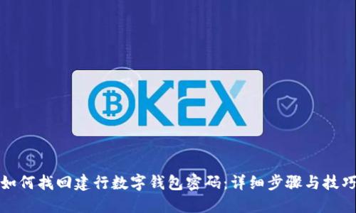如何找回建行数字钱包密码：详细步骤与技巧