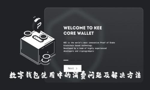 数字钱包使用中的消费问题及解决方法