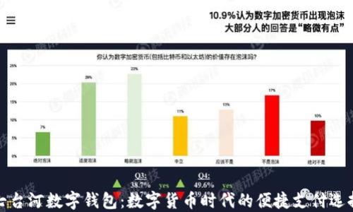 
七台河数字钱包：数字货币时代的便捷支付选择