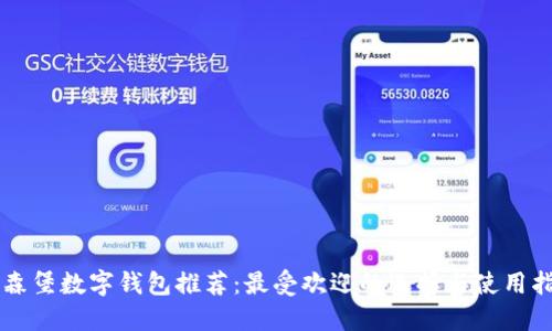 卢森堡数字钱包推荐：最受欢迎的选择与使用指南