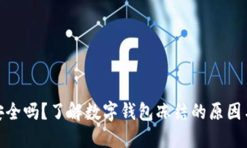 数字钱包安全吗？了解数字钱包冻结的原因与预防措施